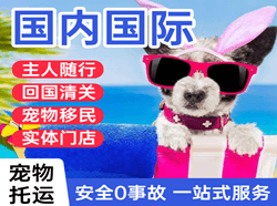 天府国际宠物托运 【国